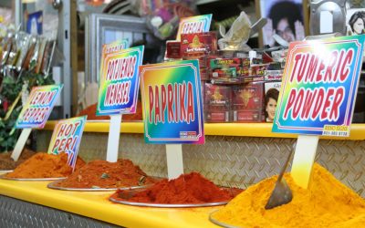 The Top 7 things to do in Durban!