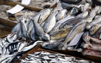 Durban’s Answer To Billingsgate Fish Market